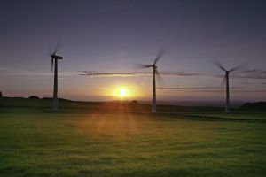 Royd Moor Wind Farm